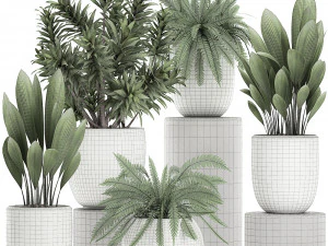 plants in a white pot for the interior 680 3D Model