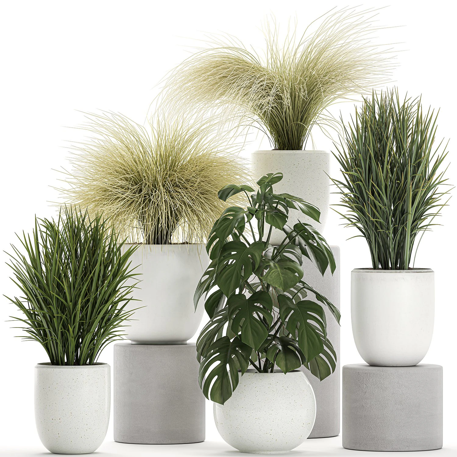 plants in a white pot for the interior 682 3D Model .c4d .max .obj .3ds .fbx .stl .blend 