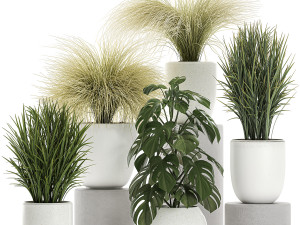plants in a white pot for the interior 682 3D 모델