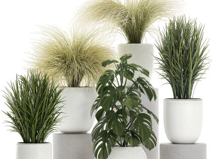 plants in a white pot for the interior 682 3D Model
