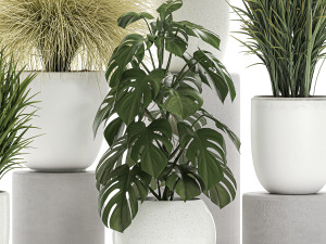 plants in a white pot for the interior 682 3D Model