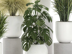 plants in a white pot for the interior 682 3D Model