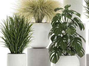 plants in a white pot for the interior 682 3D Model