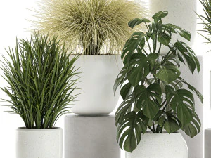 plants in a white pot for the interior 682 3D Model
