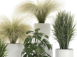 plants in a white pot for the interior 682 3D Model
