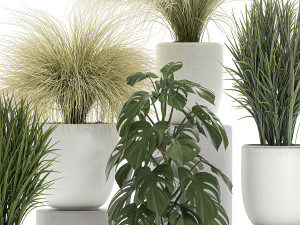 plants in a white pot for the interior 682 3D Model