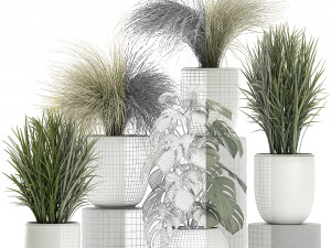 plants in a white pot for the interior 682 3D Model