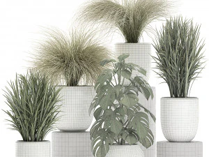 plants in a white pot for the interior 682 3D Model