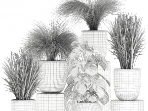 plants in a white pot for the interior 682 3D Model