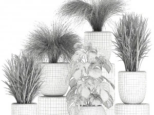 plants in a white pot for the interior 682 3D Model