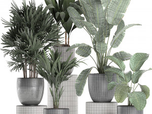 plants in a black pot for the interior 686 3D Model
