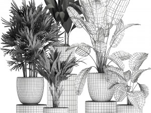 plants in a black pot for the interior 686 3D Model