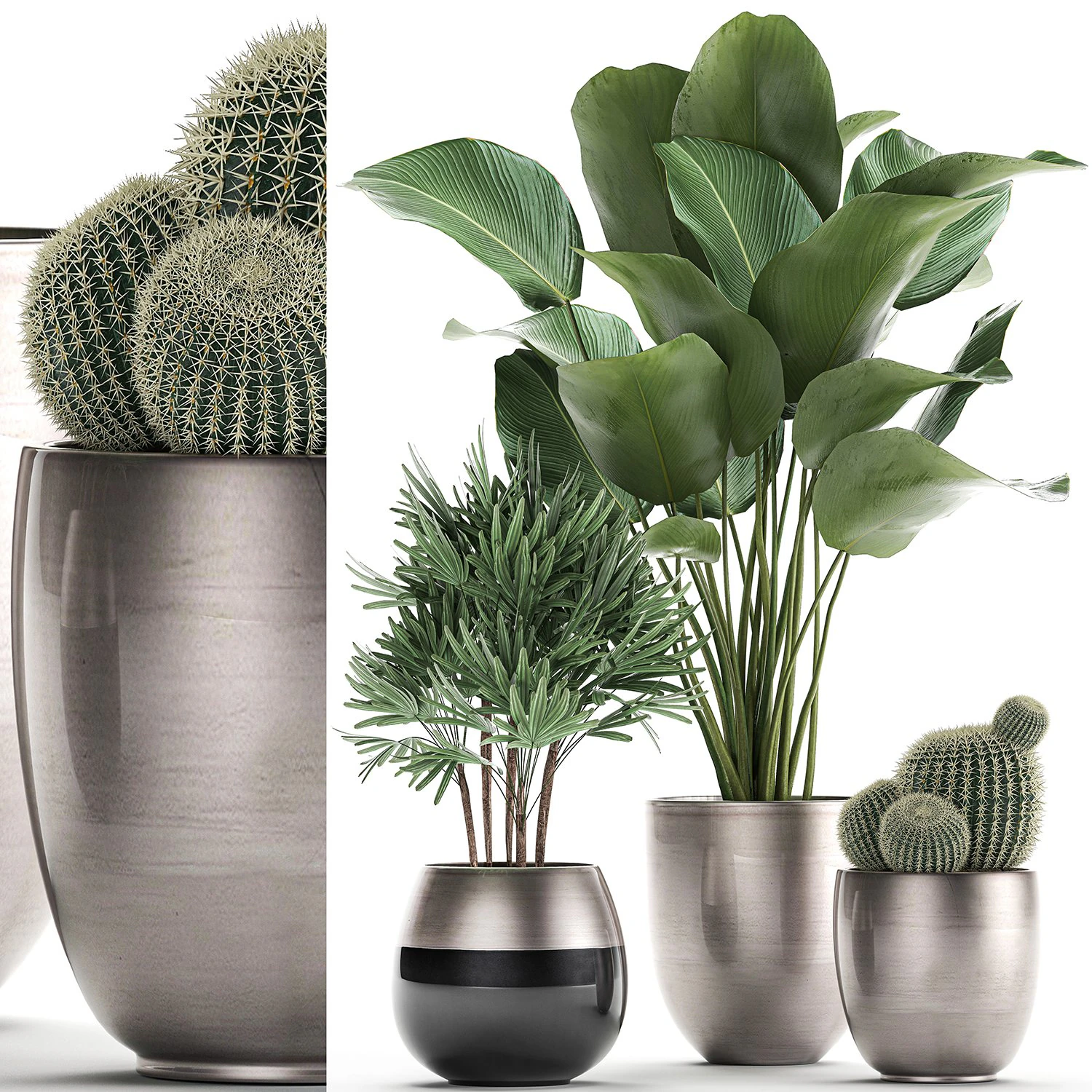 decorative plants in a pot for the interior 688 3D Model .c4d .max .obj .3ds .fbx .stl .blend 