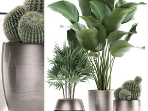 tanaman hias dalam pot untuk interior 688 Model 3D