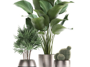 decorative plants in a pot for the interior 688 Modelo 3D