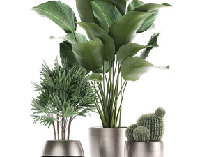 decorative plants in a pot for the interior 688 3D Model