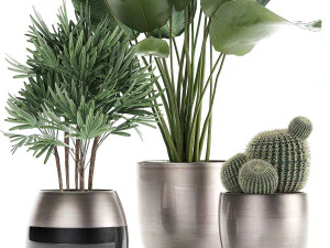 decorative plants in a pot for the interior 688 3D Model