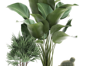 decorative plants in a pot for the interior 688 Modelo 3D