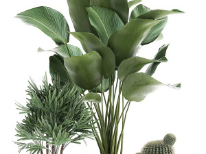 decorative plants in a pot for the interior 688 3D Model