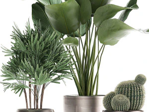 decorative plants in a pot for the interior 688 3D Model