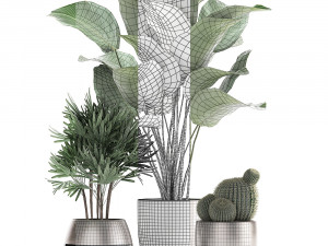 decorative plants in a pot for the interior 688 Modelo 3D