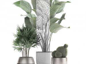 decorative plants in a pot for the interior 688 3D Model