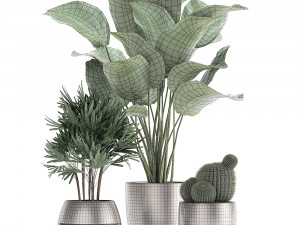 decorative plants in a pot for the interior 688 Modelo 3D