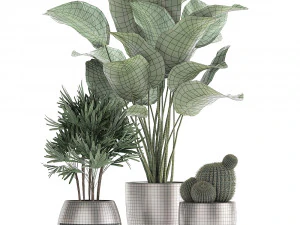 decorative plants in a pot for the interior 688 3D Model