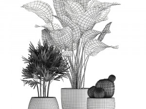 decorative plants in a pot for the interior 688 Modelo 3D
