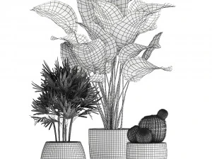 decorative plants in a pot for the interior 688 3D Model