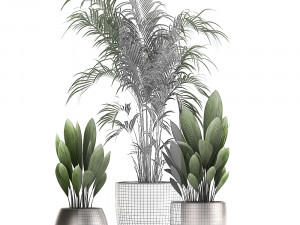 decorative plants in a pot for the interior 689 3D Модель