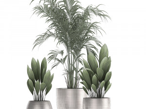 decorative plants in a pot for the interior 689 3D Модель
