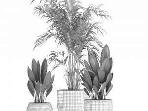 decorative plants in a pot for the interior 689 3D Модель