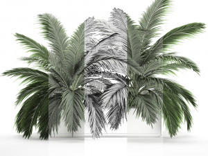 decorative palm in a flowerpot 690 Modèle 3D