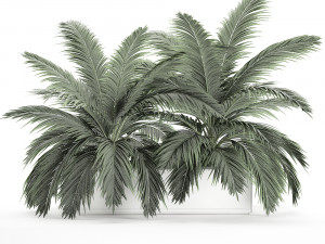 decorative palm in a flowerpot 690 Modèle 3D