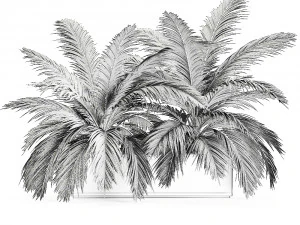 decorative palm in a flowerpot 690 3D Model