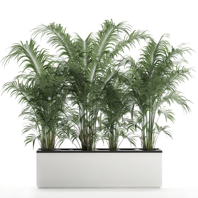 decorative palm in a flowerpot 691 3Dモデル .c4d .max .obj .3ds .fbx .stl .blend 