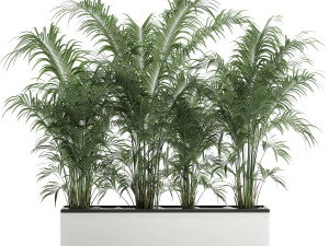 palma decorativa in vaso da fiori 691 Modello 3D