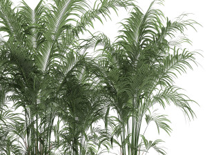 decorative palm in a flowerpot 691 3Dモデル