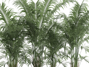 decorative palm in a flowerpot 691 3Dモデル