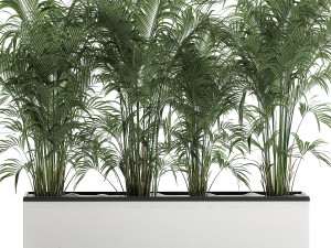 decorative palm in a flowerpot 691 3Dモデル