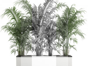 decorative palm in a flowerpot 691 3Dモデル