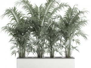 decorative palm in a flowerpot 691 3Dモデル