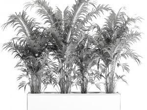 decorative palm in a flowerpot 691 3Dモデル