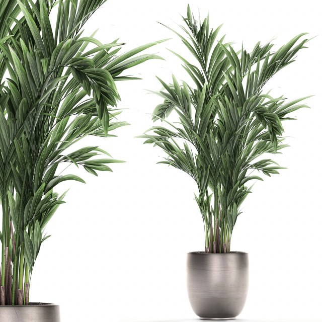 decorative palm in a flowerpot 693 3Dモデル .c4d .max .obj .3ds .fbx .stl .blend 