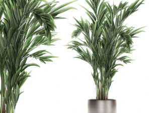 palma decorativa in vaso da fiori 693 Modello 3D