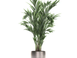 decorative palm in a flowerpot 693 3D Model