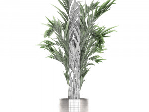 decorative palm in a flowerpot 693 3Dモデル
