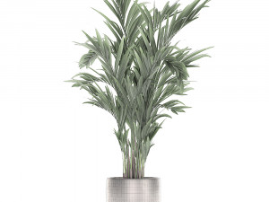 decorative palm in a flowerpot 693 3Dモデル