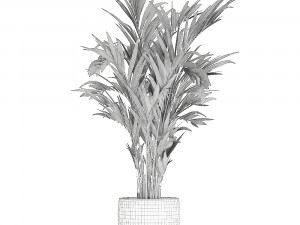 decorative palm in a flowerpot 693 3Dモデル